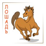 ������ 2007 ��������� ��������