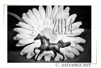 Гороскоп Ромашки