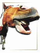 2014 гороскоп