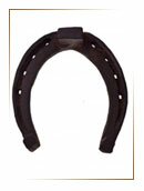 Ворота Золушки